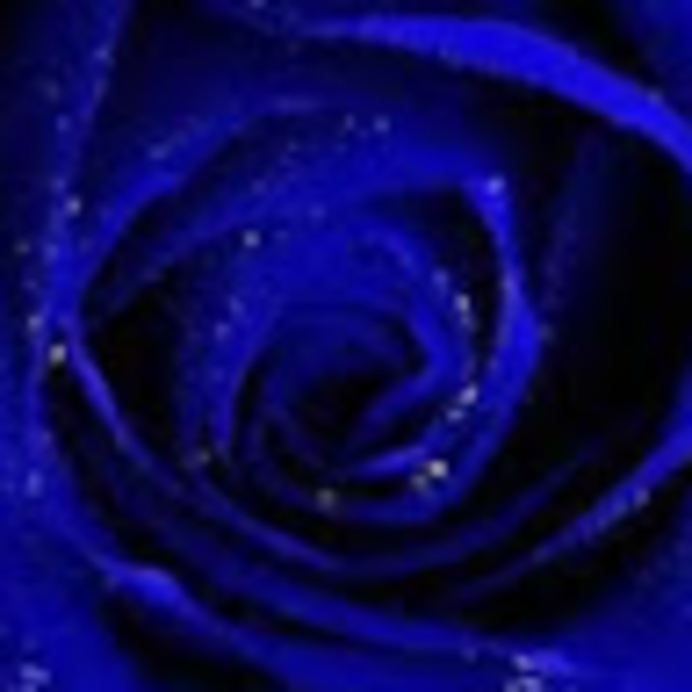 Meet your Posher, Dasani